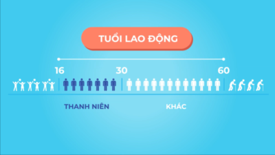 Lao động trẻ Việt Nam (Infographic)