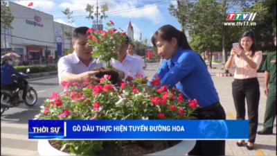 Tây Ninh - Đoàn thanh niên cùng Hội Liên hiệp phụ nữ Việt Nam huyện Gò Dầu thực hiện công trình Tuyến đường hoa