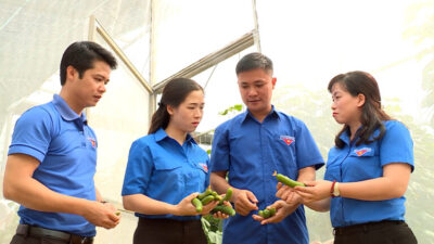 Tuyên Quang- Mô hình làm nông nghiệp công nghệ cao