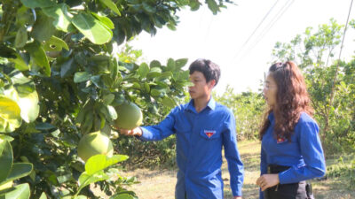 Thanh niên Phan Thanh Quang khởi nghiệp từ mô hình kinh tế xanh